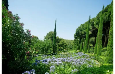 Entreprise paysagiste spécialiste de la création d’espace vert personnalisé à Saint Rémy de Provence