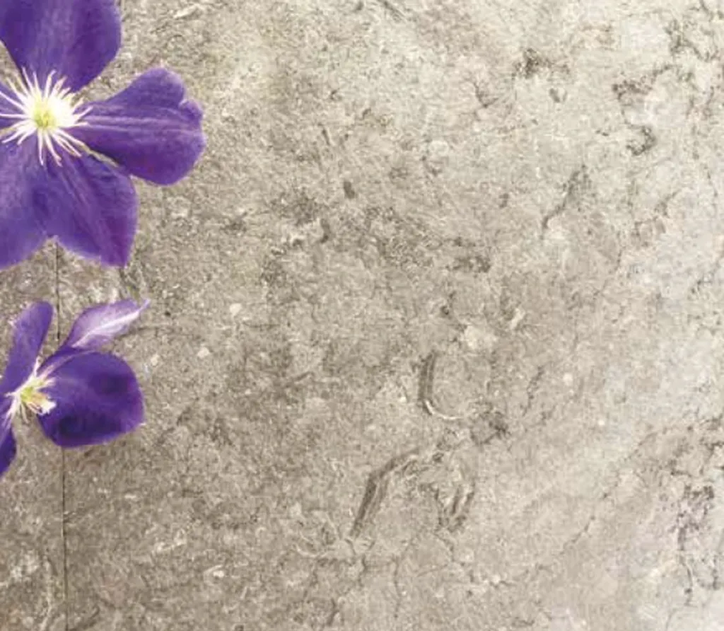 Cèdre Brown – Marbre marron et kaki pour sols et aménagements intérieurs et extérieurs