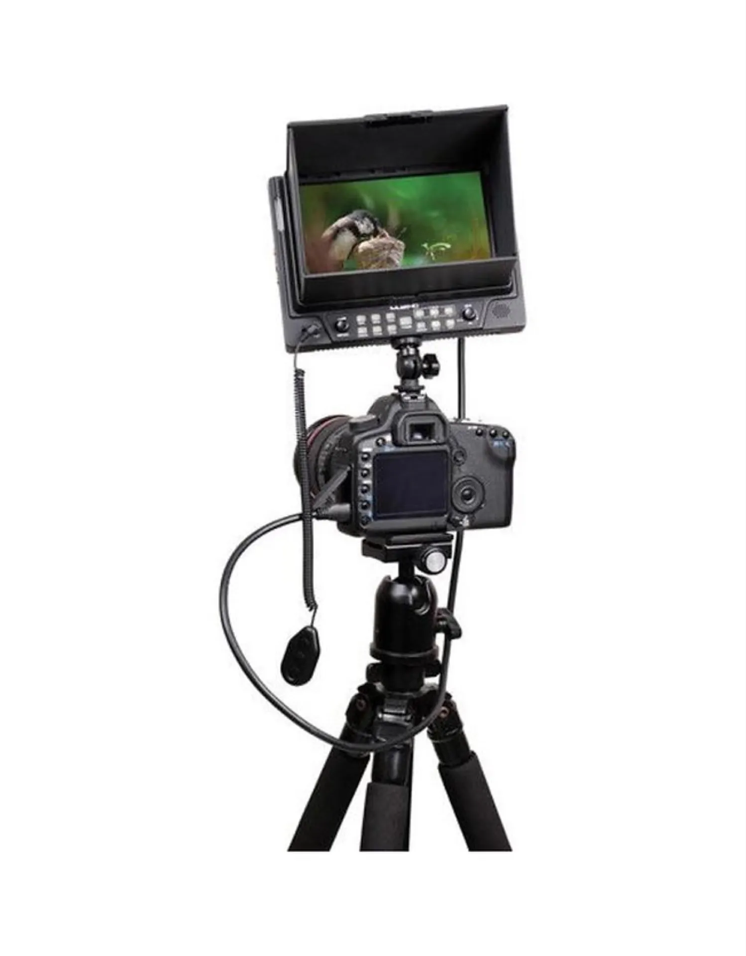 location moniteur hdmi à menton dans les alpes maritimes