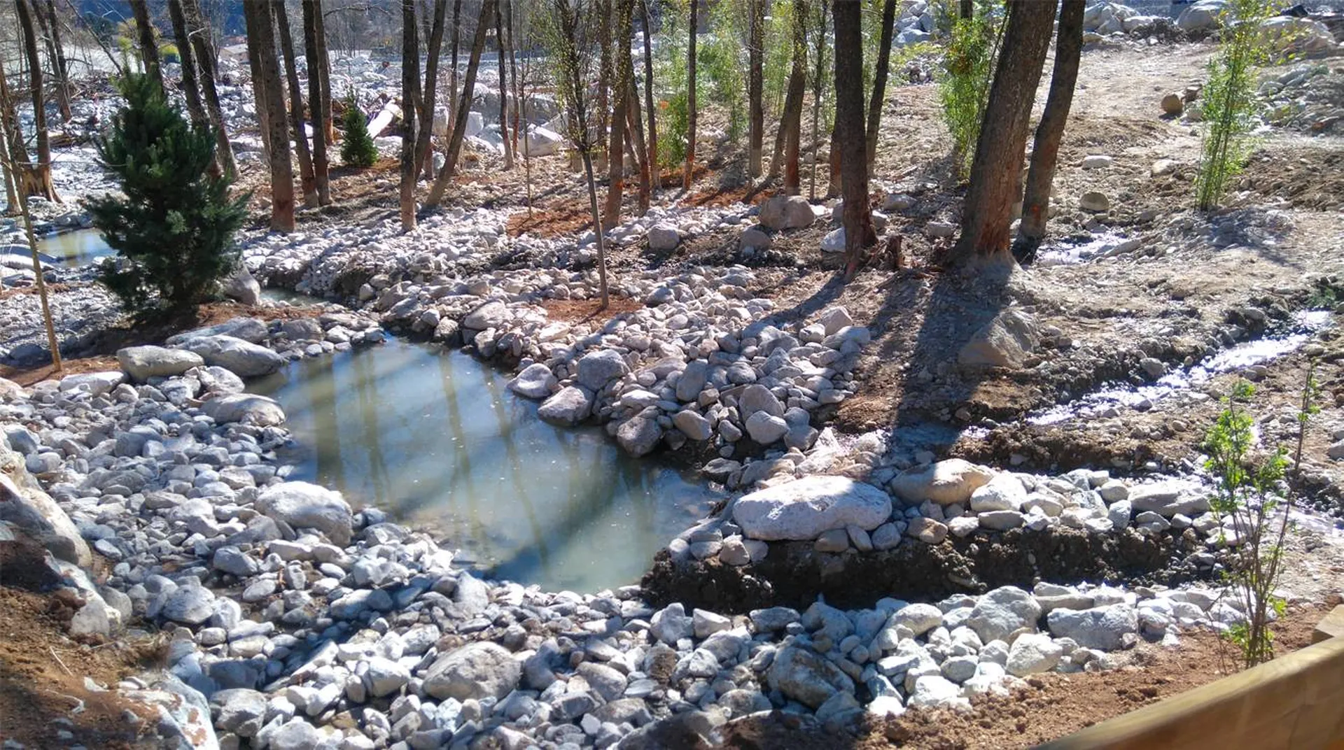 Bassin naturel avec plantation réalisé à St Martin Vésubie