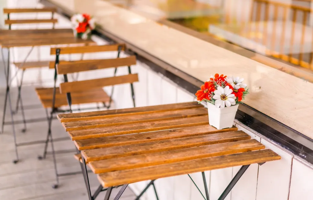 Traitement anti-moustiques certifié pour guinguettes, espaces festifs et bars extérieurs à Colomiers et Blagnac