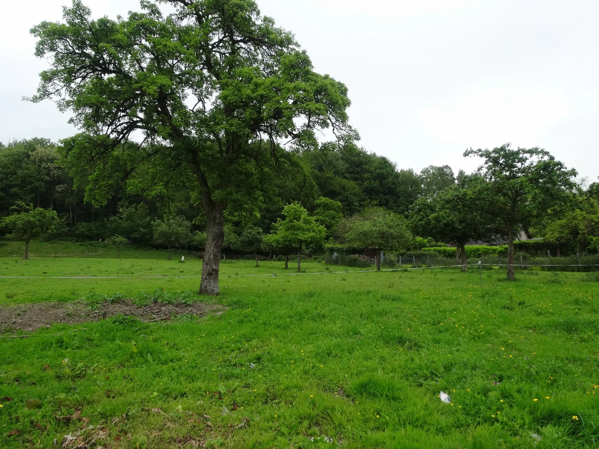 MAISON DE CAMPAGNE Proche de CAMBREMER