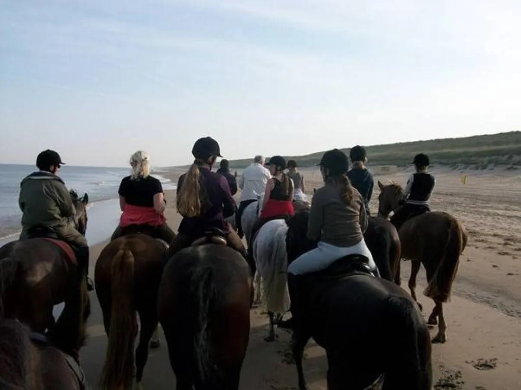 Société d'organisation d'évènement et activité Team Building sur mesure à La Rochelle en Charente Maritime