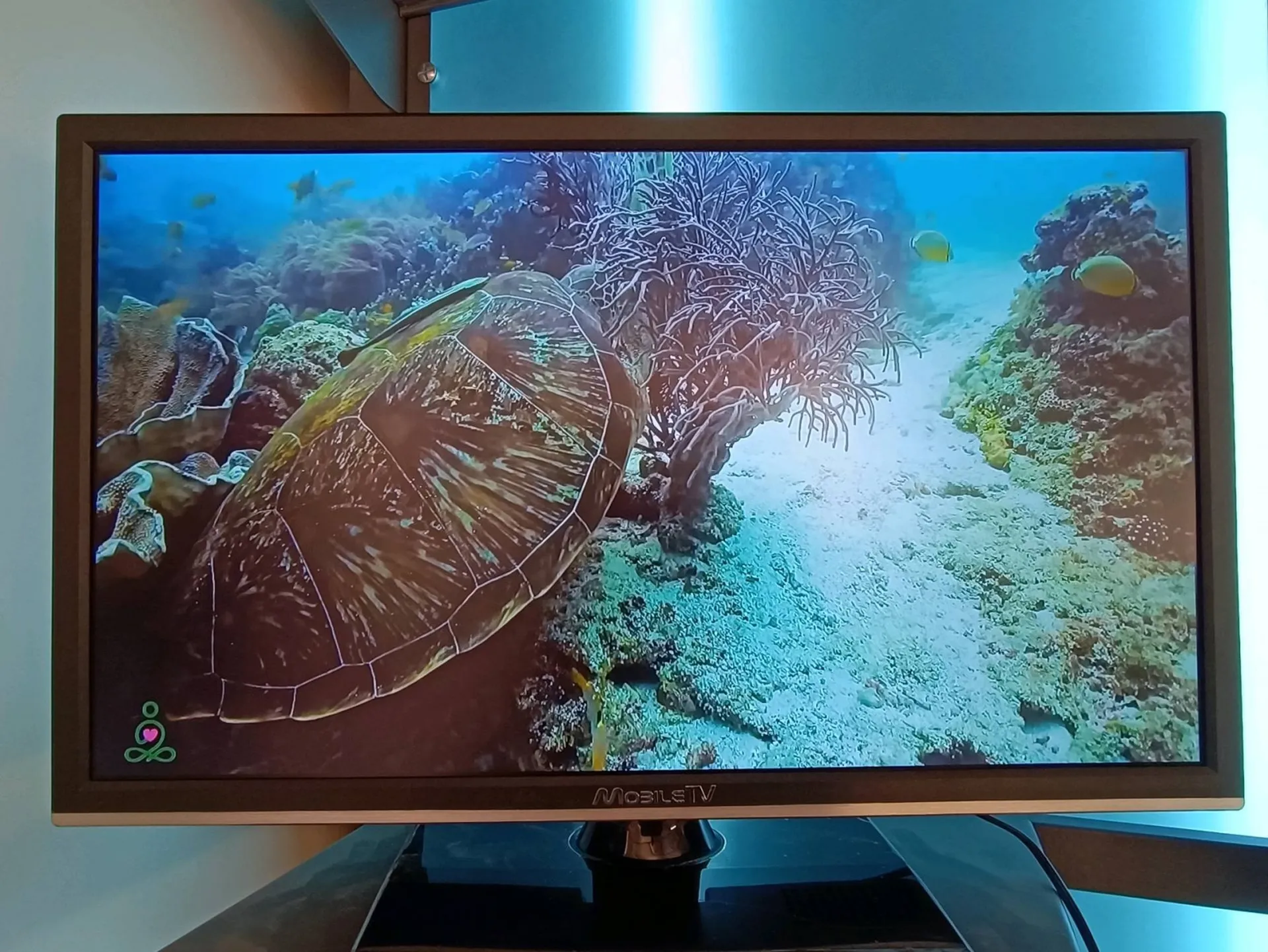 television smart tv a lancon provence