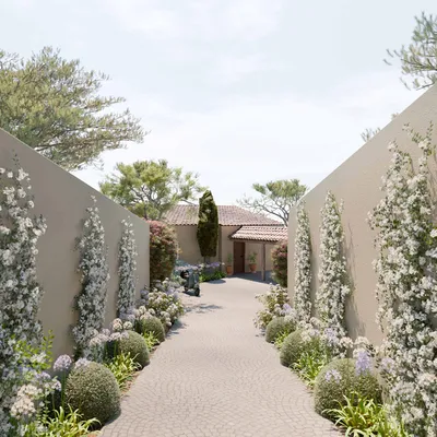 Valorisation des espaces de plantation à Sausset-les-Pins, avec des essences locales et des variétés choisies pour leur beauté