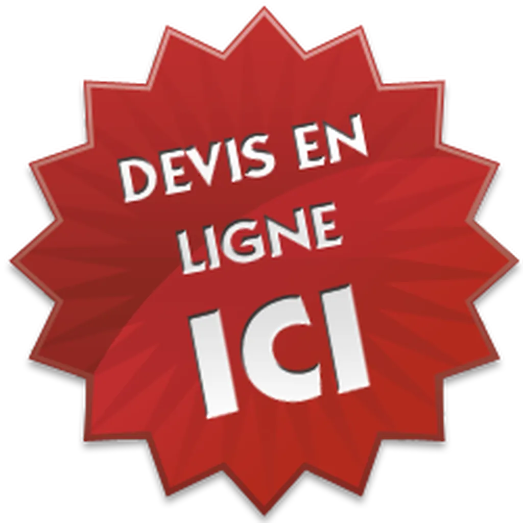 Devis en ligne pour vos transports routiers Belgique vers France