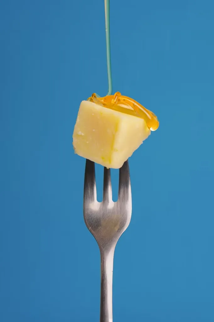 restauration collective et cantine