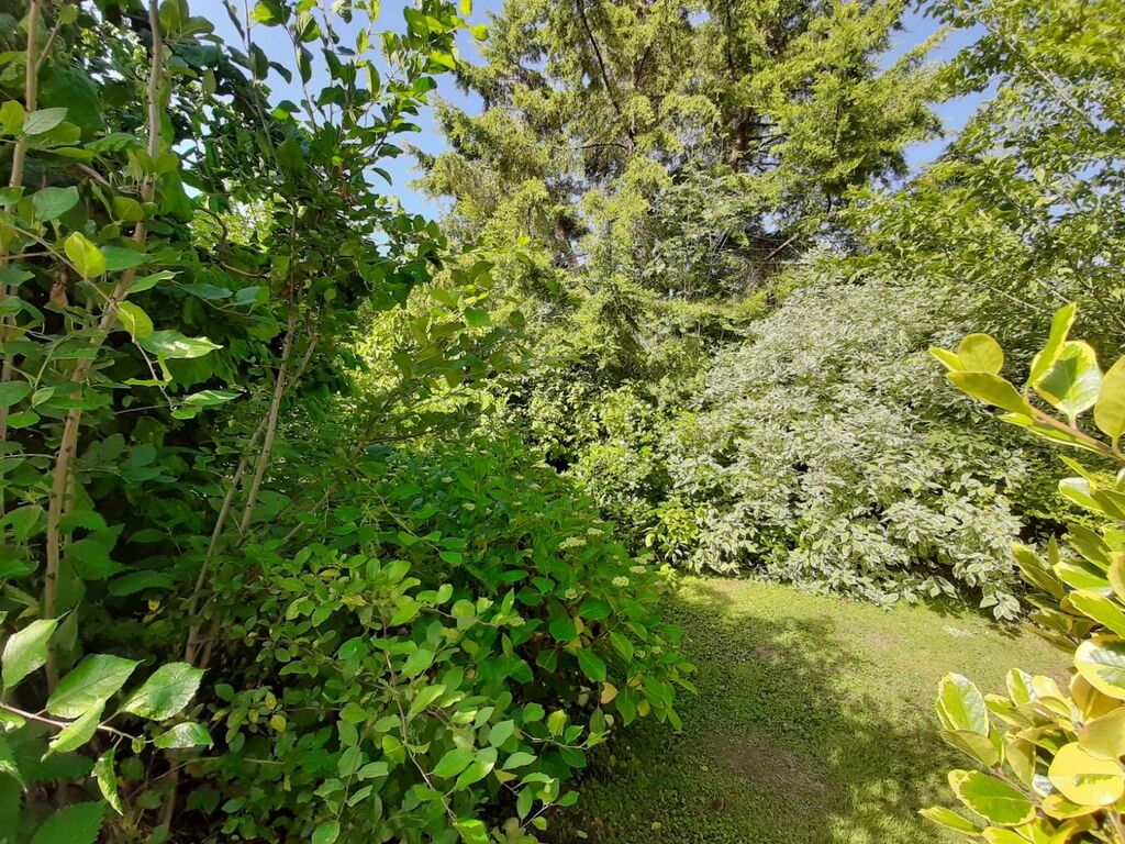 recherche longère sans gros tarvaux, 3 chambres petit terrain narboré, proche mer, commerces 76