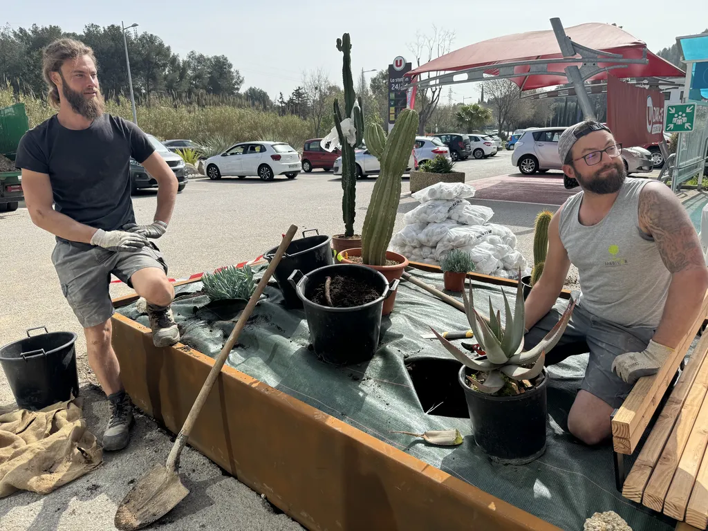 Rognage de souche et reprise d’enrobé à Bandol – Jardivar