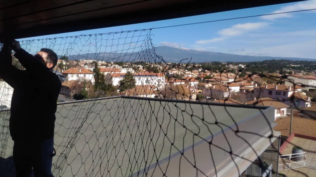 depigeonnage pas cher aix