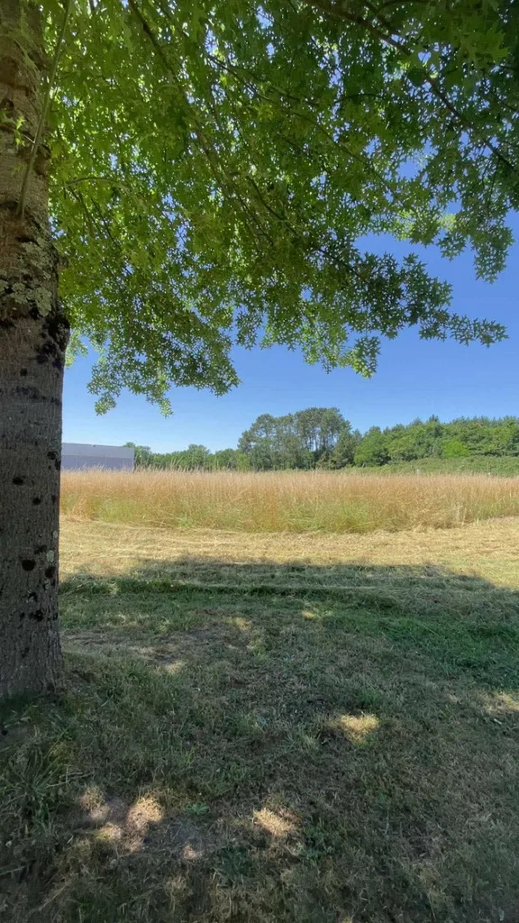 Débroussaillage d'un terrain par Elagage et Paysage
