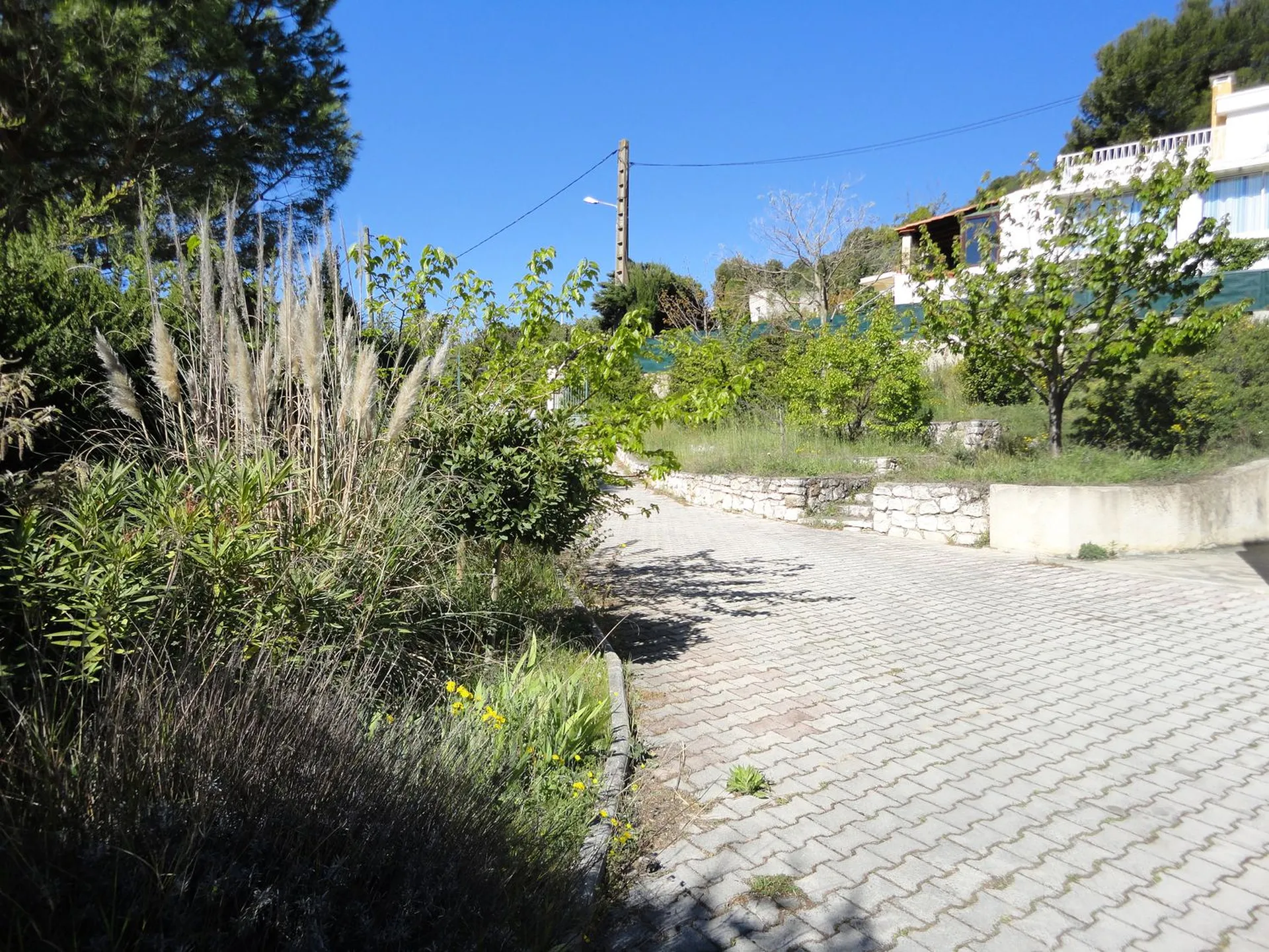 castellas immobilier 