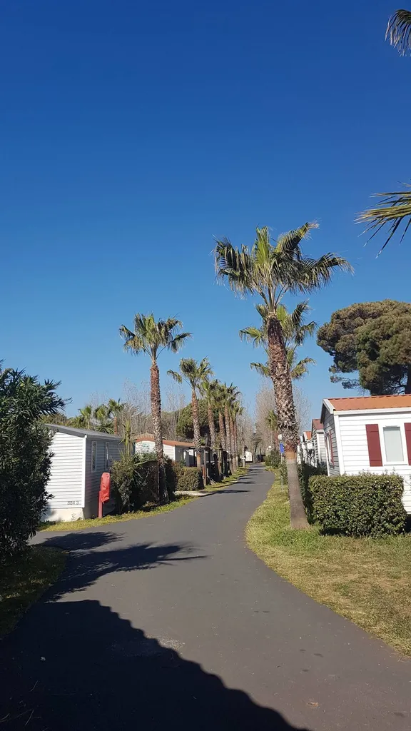 camping calme et familial dans le Sud de la France proche de Marseillan