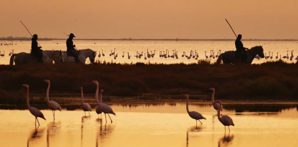 retour par la route de cacharel safari 4x4 avec safari Camargue au Sainte-Marie-De-la-mer.
