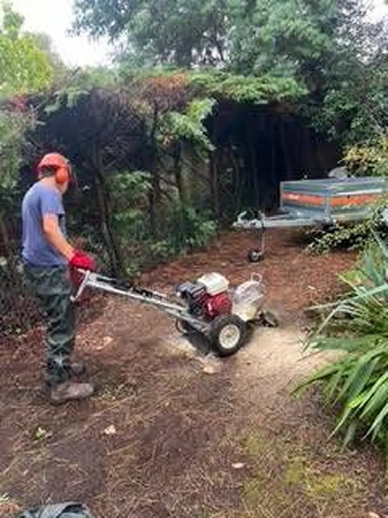 Grignotage de souches de qualité près de Mézos pour l’aménagement paysager tout en sécurité de votre terrain