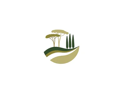 Quelles plantes choisir pour un jardin méditerranéen ?