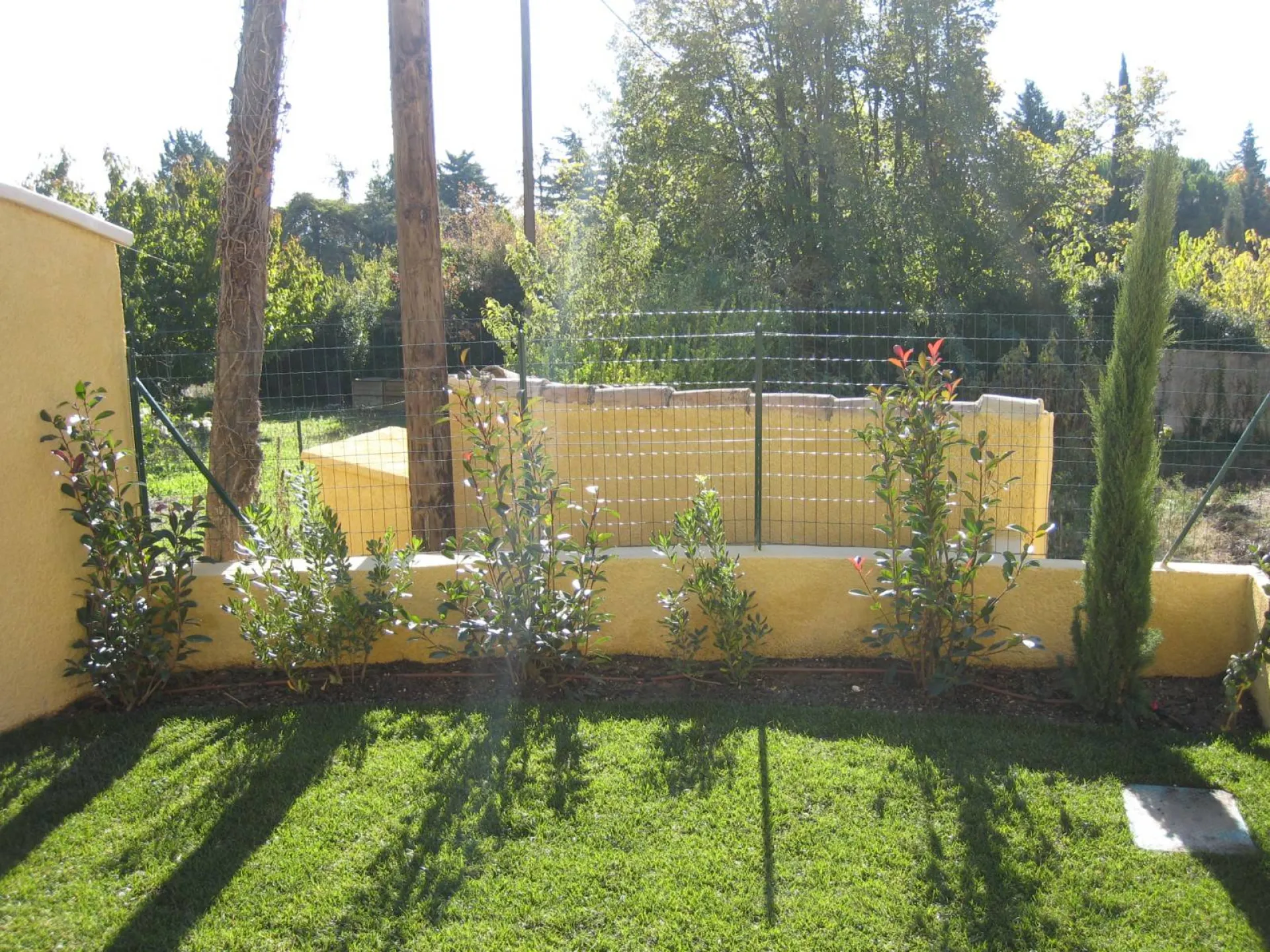 Pose gazon en rouleau et plantations Pose gazon en rouleau et plantations