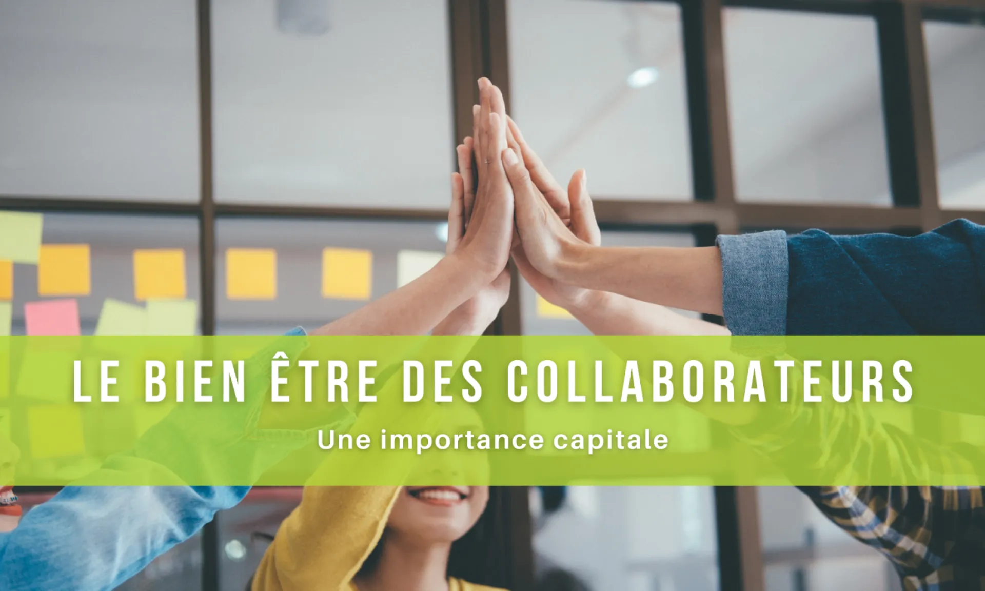 Le bien-être de nos collaborateurs, une importance capitale !