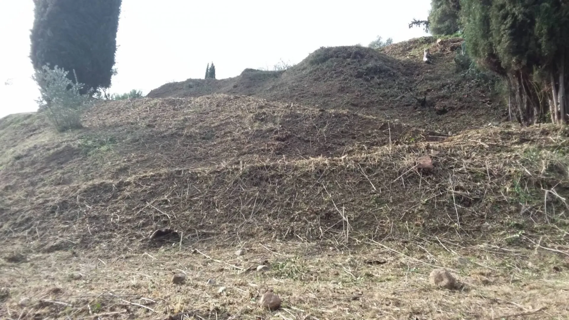 Obligation Légale de Débroussaillement terrain en pente 2