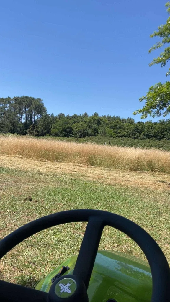 Débroussaillage d'un terrain par Elagage et Paysage