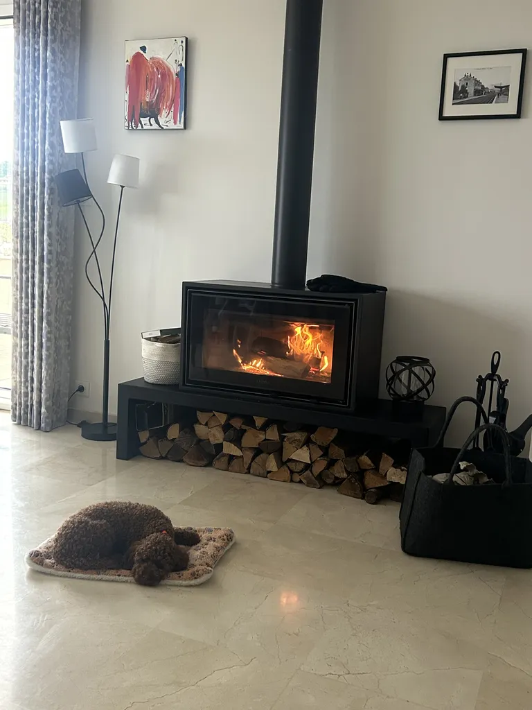 Renovation partielle et installation d'un poêle à bois à Couzon au Mont d'Or