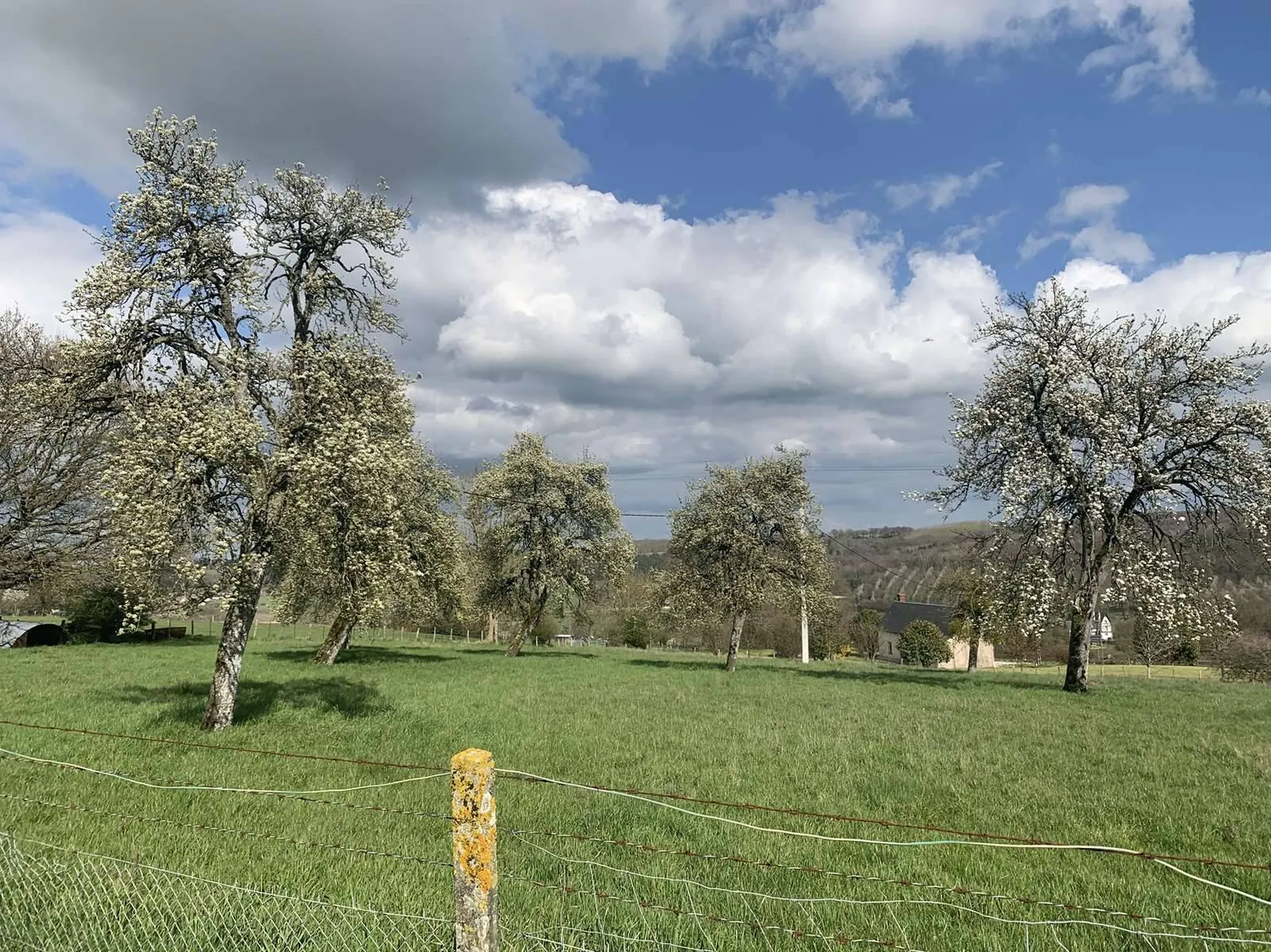 A acheter MAISON EN COLOMBAGES à restaurer, sur presque 3 hectares de terres, dans le secteur de LISIEUX 14100