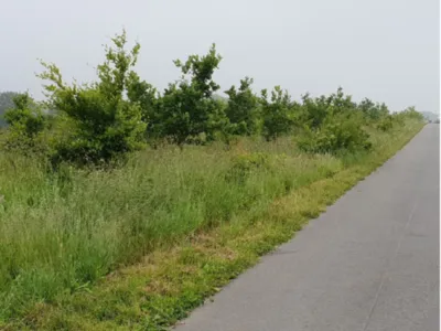 Chantier de fauchage sur Fontaine La Mallet en début de travaux