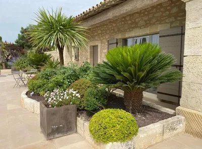 Paysagistes à Saint-Rémy-de-Provence : expertise dans la conception de jardins méditerranéens des Alpilles, 13800