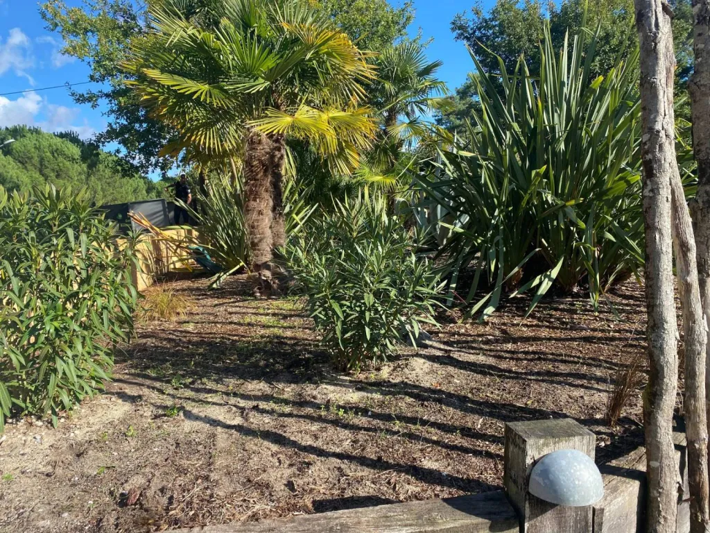 Entretien d'un massif à Lège Cap-Ferret