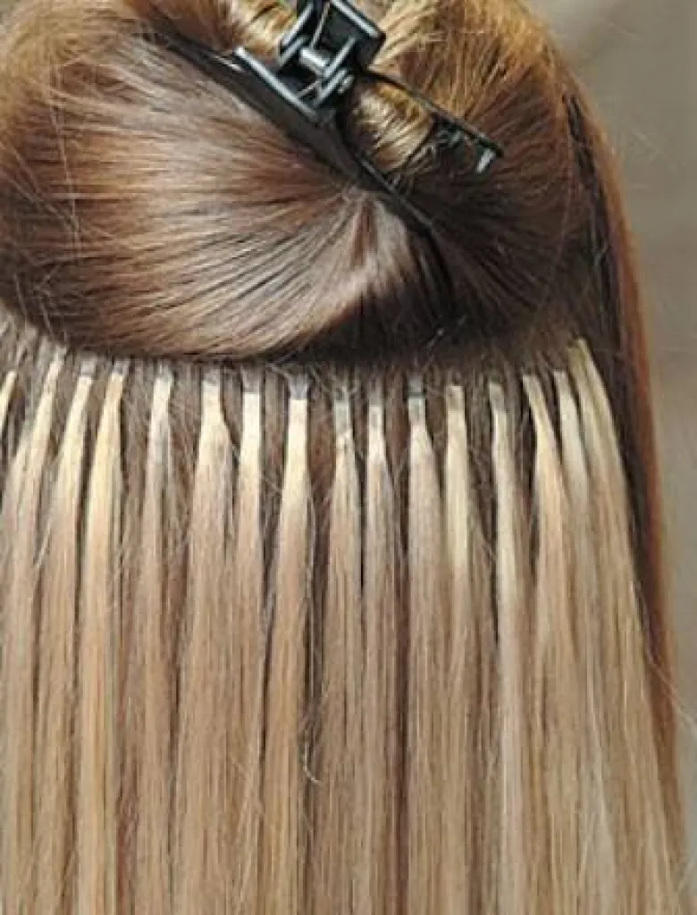 les extensions Mahodi 13004