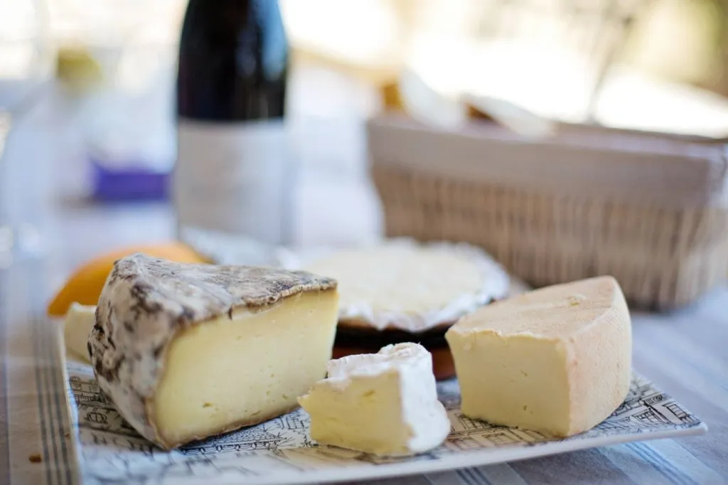 Fromages bio et gastronomie : inspirations pour vos plats