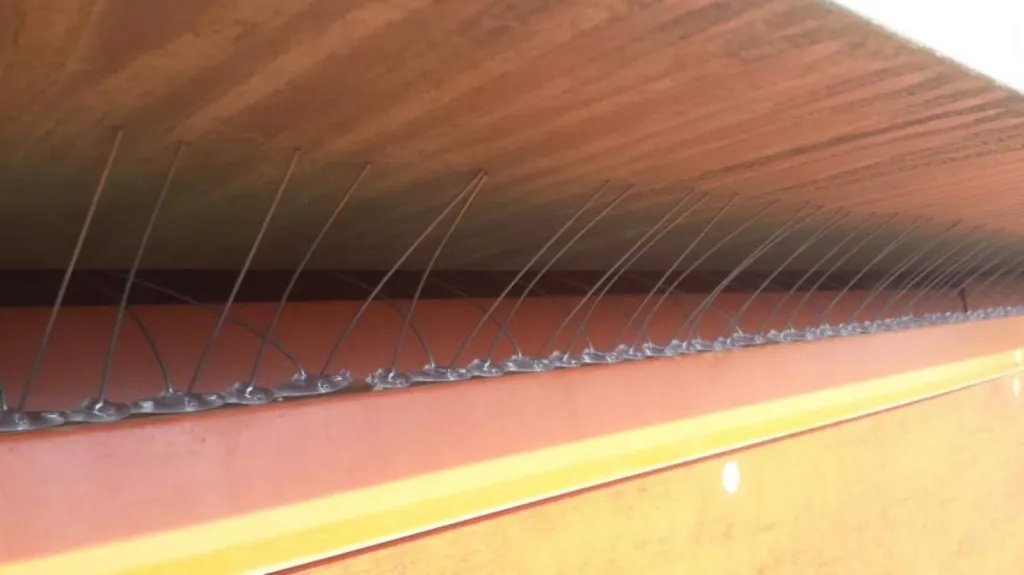 pic anti pigeons aubagne 13400