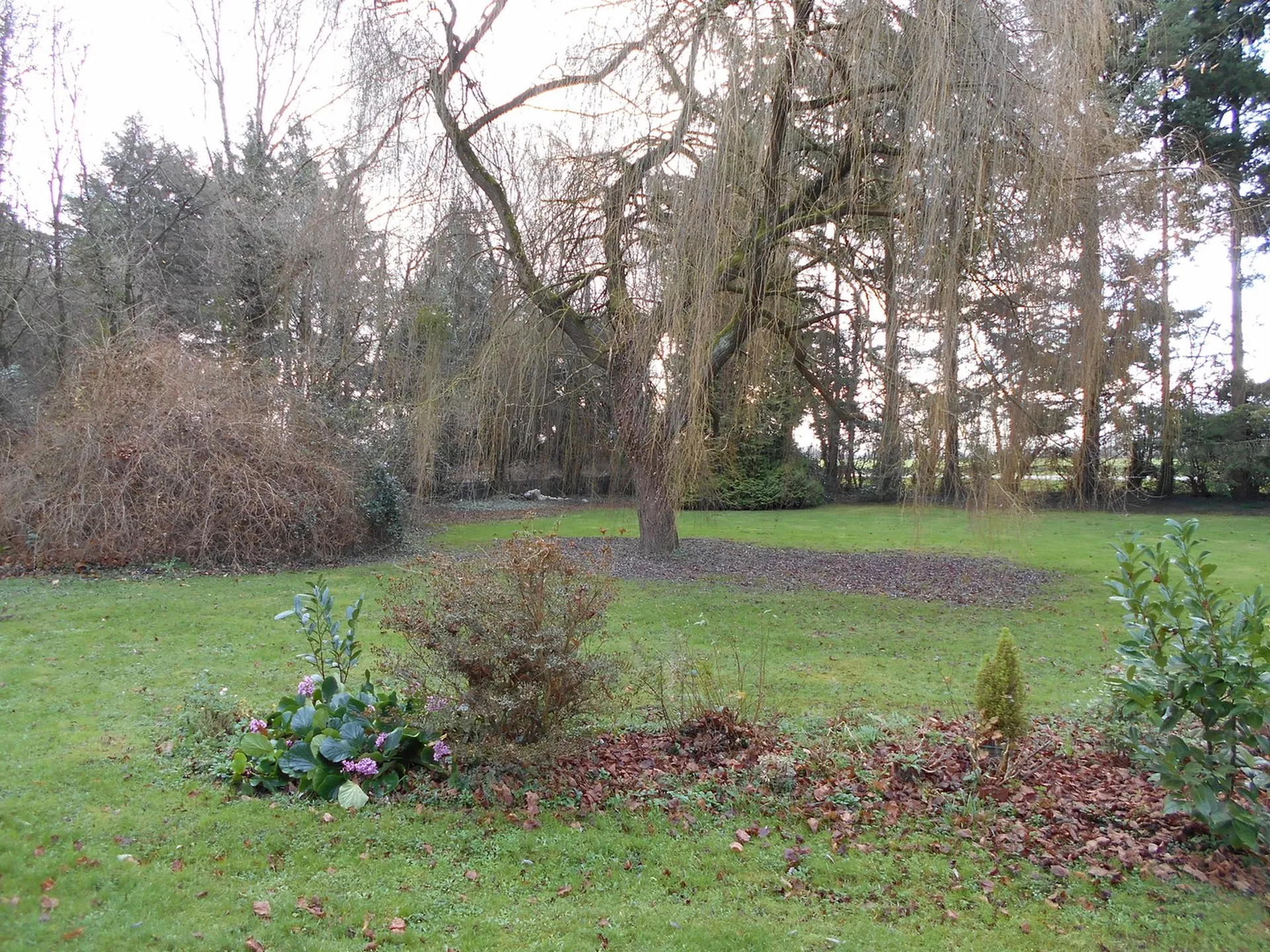 agence immobilière de Lisieux, pays d'auge
