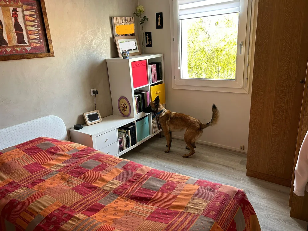 les équipes de Canem Detect en mission de détection de punaises de lit dans un Ehpad à Paris
