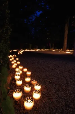 se marier au Pré Catelan avec une organisatrice de mariage de luxe