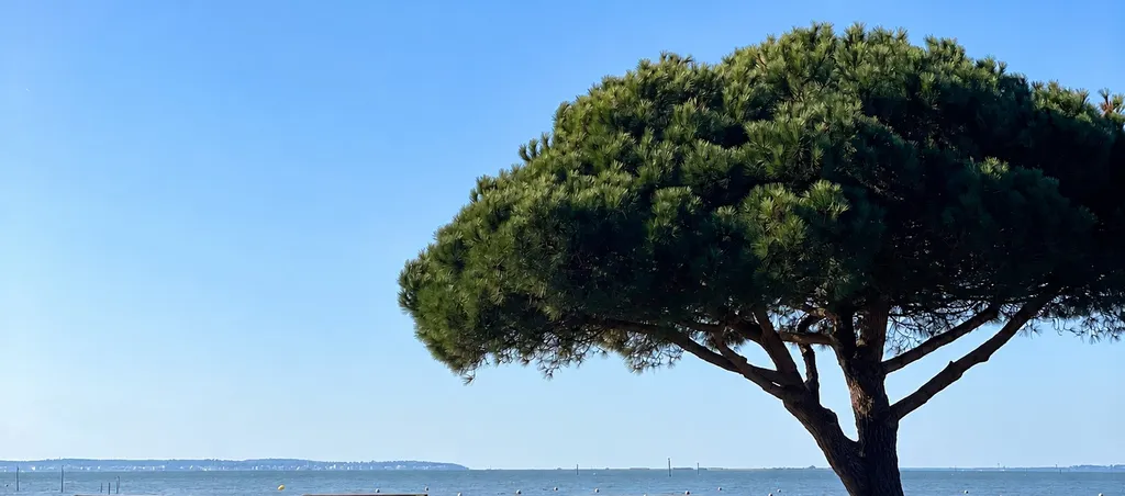 artisan sérieux pour changement de pompe de piscine à Arcachon et autour