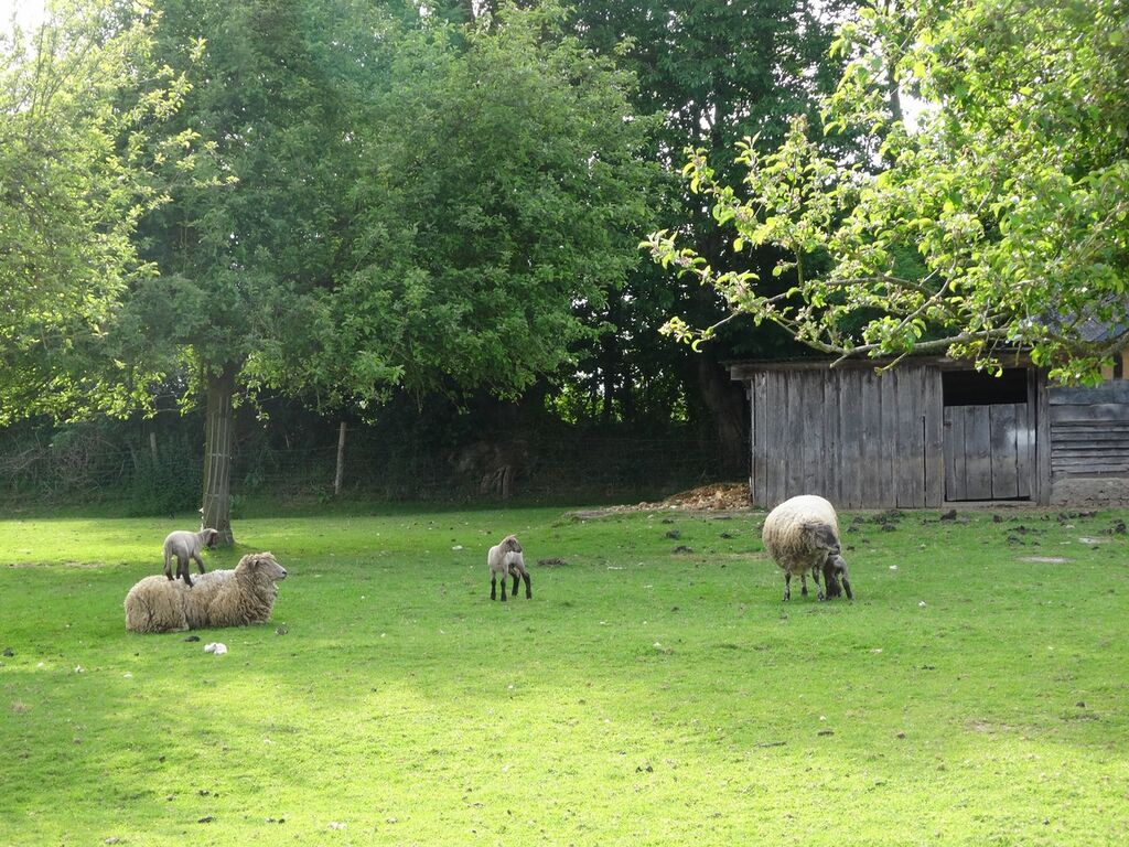 Jardin Terres et Demeures de Normandie