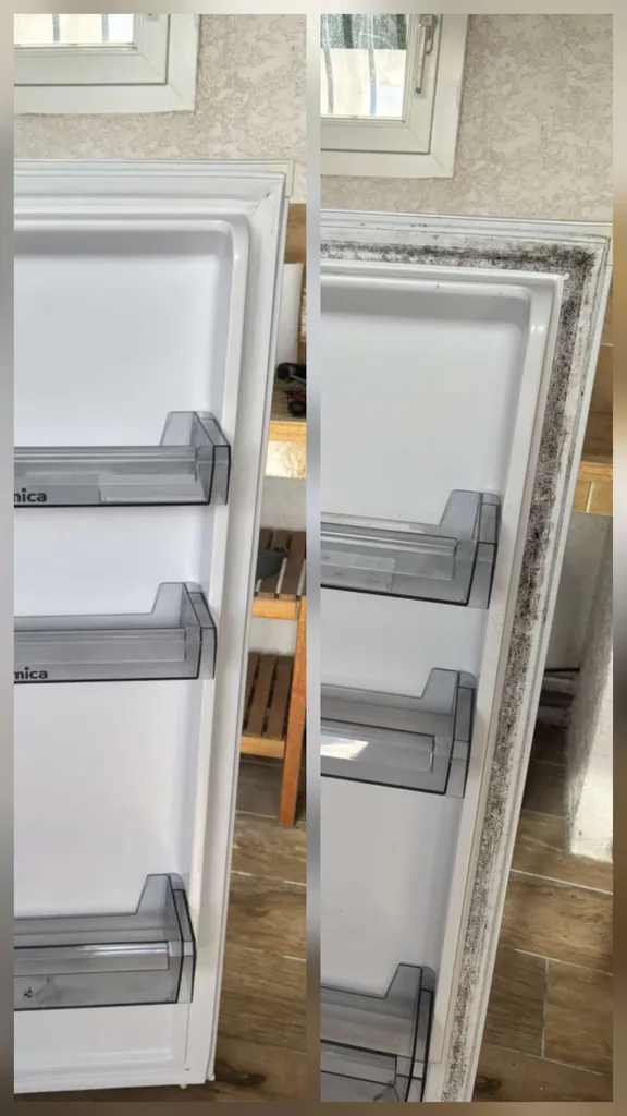 Intervenir pour un nettoyage extrême logement insalubre à Lunel dans l’Hérault