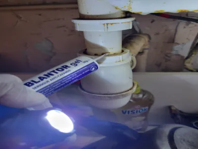 Traitement pour éliminer une infestation de cafards et blattes germaniques à Toulon avec traitement chimique complet dans un local professionnel