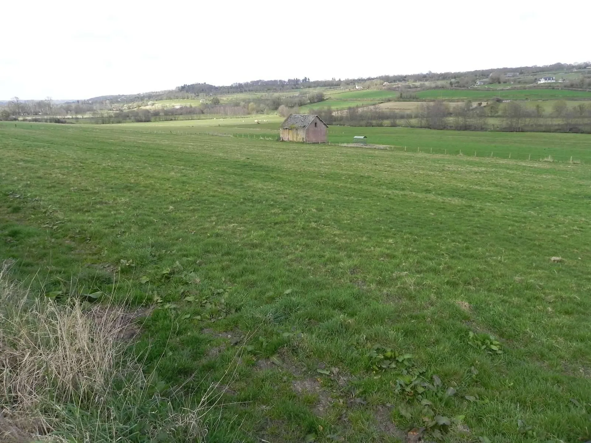 Achat dans le CALVADOS 14, dans la région du PAYS D'AUG, un ensemble immobilier constitué de 7Ha 50a d'herbages et de ses bâtiment agricoles.
