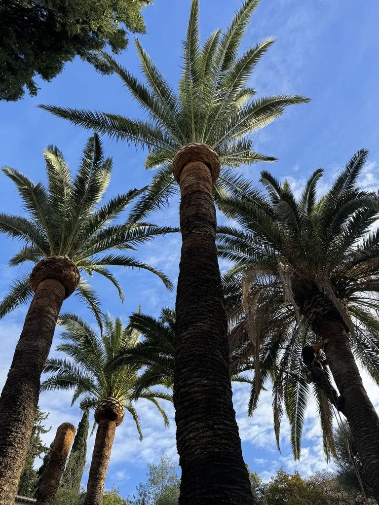 Créer votre aménagement paysager sur mesure avec expertise à Toulon