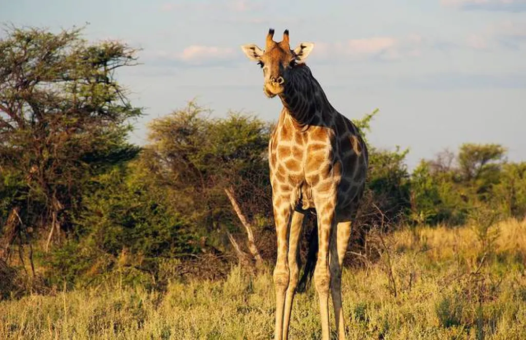 Séjour en Namibie : à savoir avant de partir