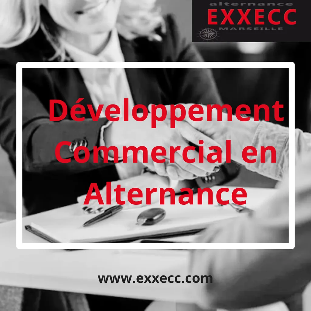 Chargé(e) de Développement Commercial en Alternance
