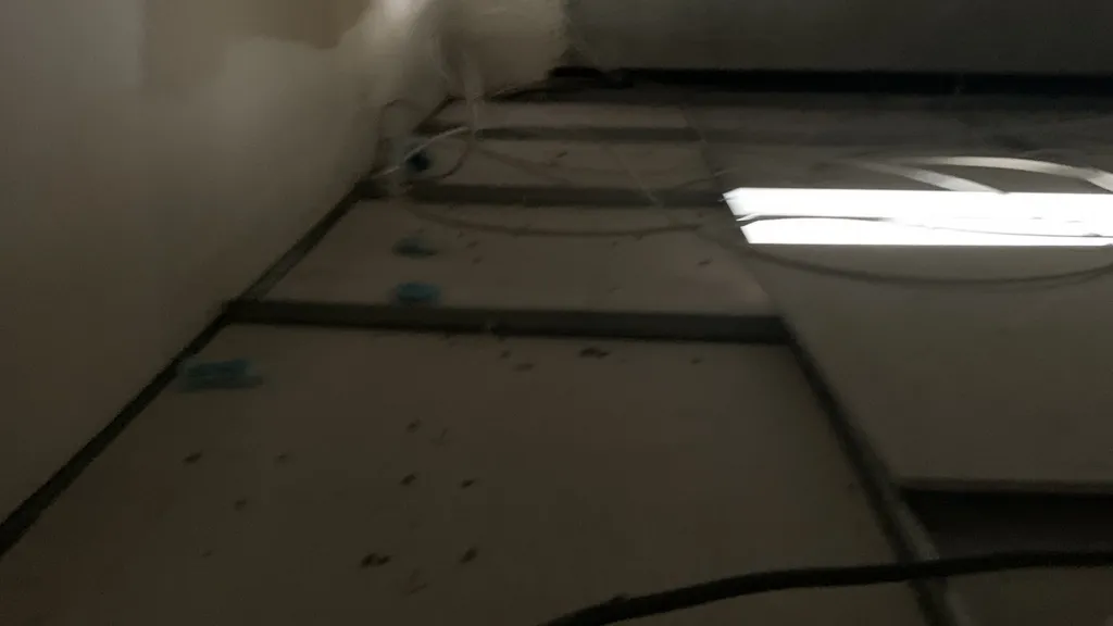 Mise en place d’un traitement de dératisation annuel dans les bureaux d’une société à Marseille 13011 dans les Bouches-du-Rhône