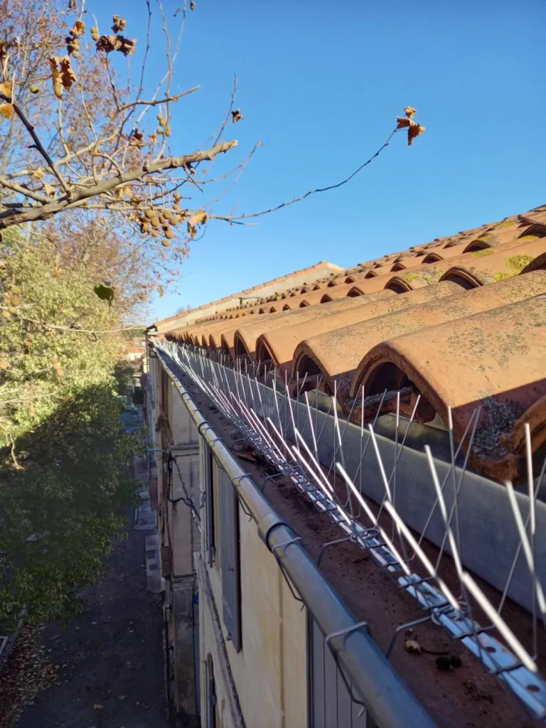 anti pigeon pour gouttières en inox arles 13200