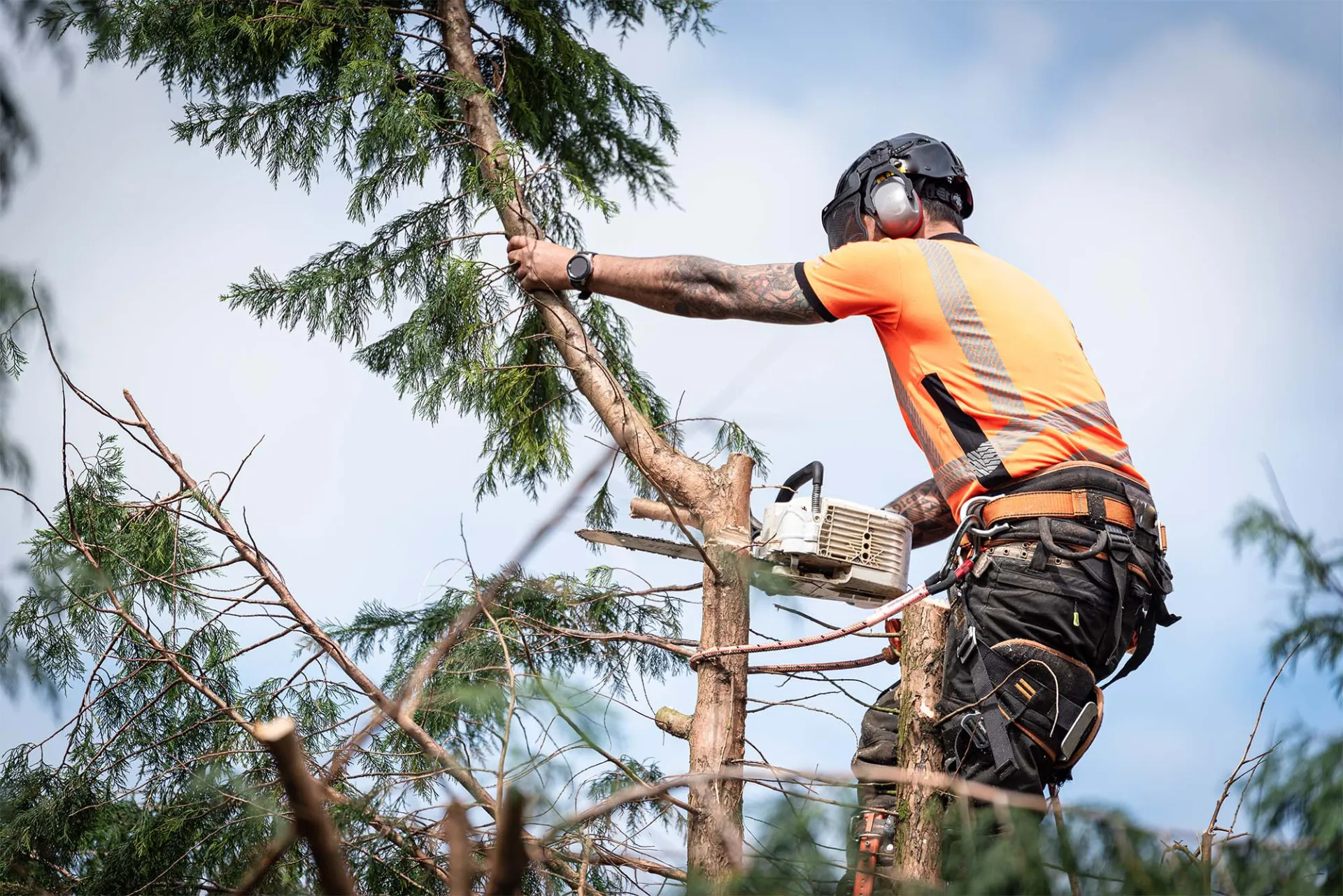 Entreprise d'élagage et d'abattage d'arbres dangereux à Saint Aubin de Médoc