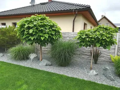 Les tendances jardin 2026 : couleurs, matériaux et styles à adopter