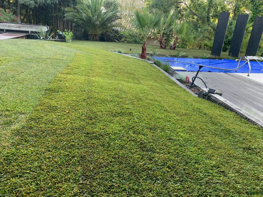 Faire le choix d’un gazon de qualité pour sa pelouse près de Biscarrosse