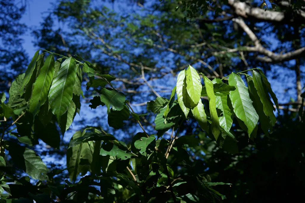 De Madagascar à Marseille, l’histoire d’un chocolat d’exception né d’un amour pour la terre et les hommes