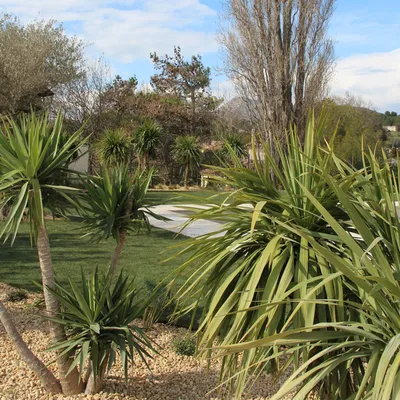 Espaces verts entretenus avec exigence à proximité du centre-ville d’Aix-en-Provence 13090, dans un cadre résidentiel élégant